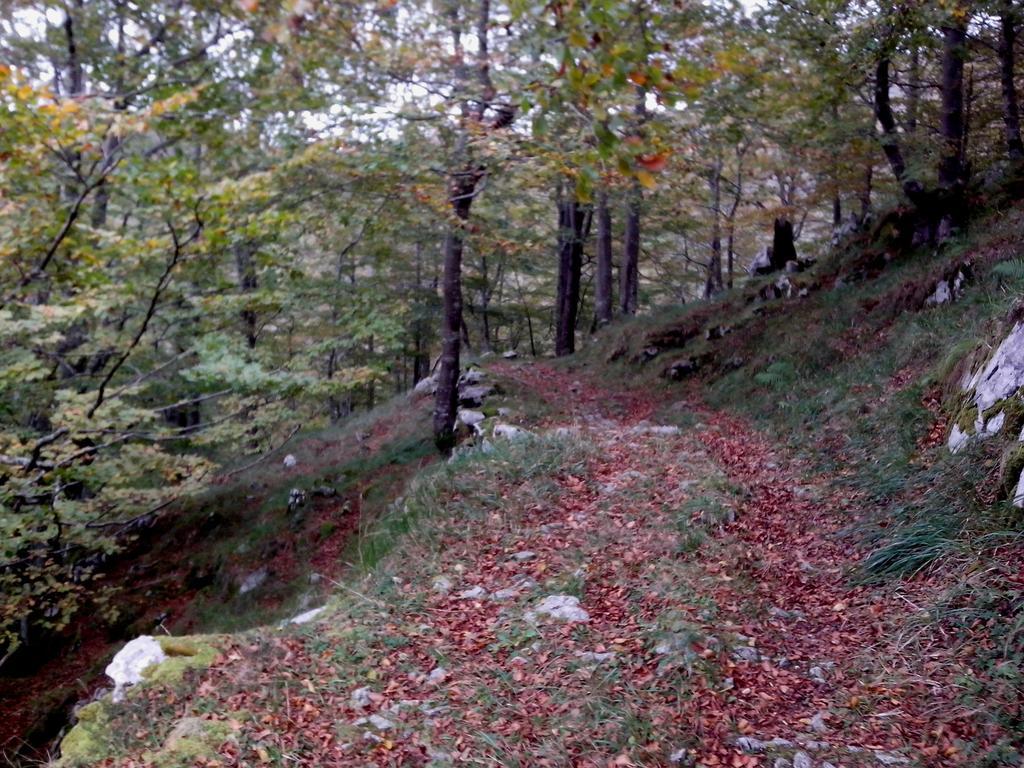 El Cerro Villa La Concha  Kültér fotó