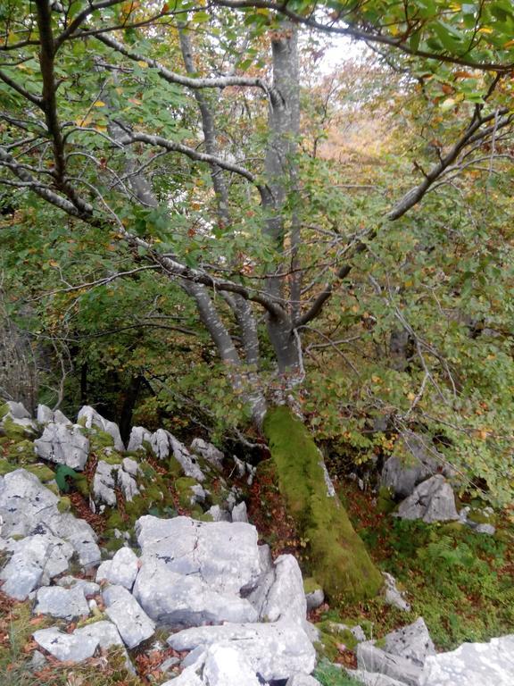 El Cerro Villa La Concha  Kültér fotó